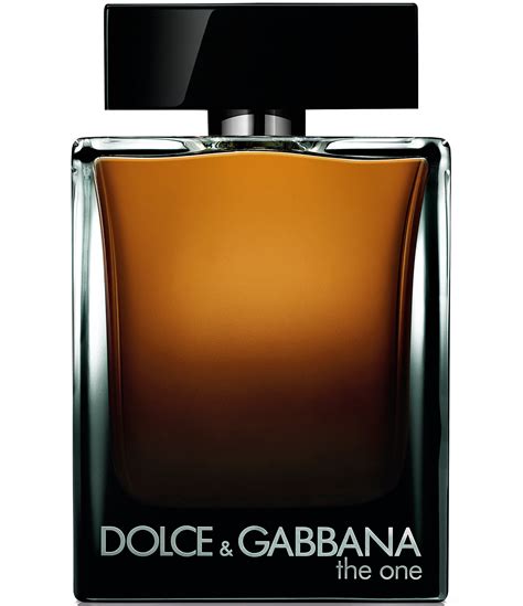 dillards dolce and gabbana